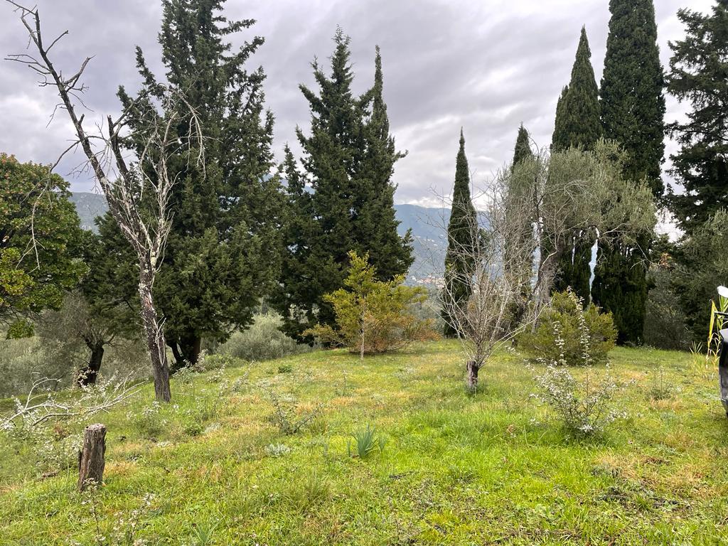 Land in Corfu, Greece, 2 463 m² - picture 10