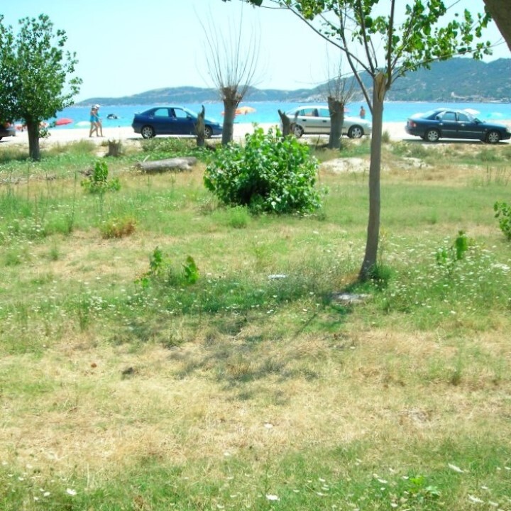 Terrain en Sithonie, Grèce, 5 157 m² - image 10