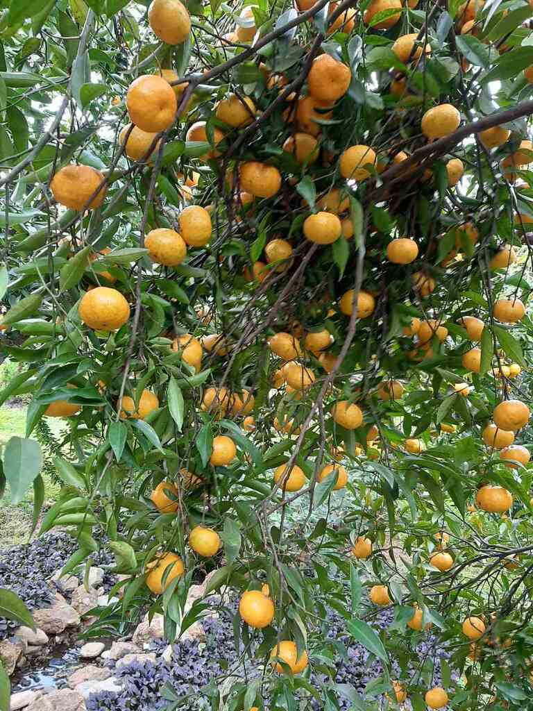 Casa en Ática, Grecia, 275 m² - imagen 10