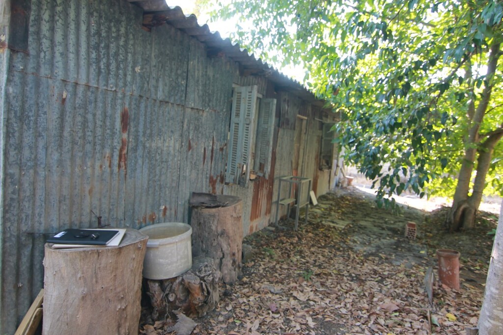 Land in Corfu, Greece, 1 342 m² - picture 10