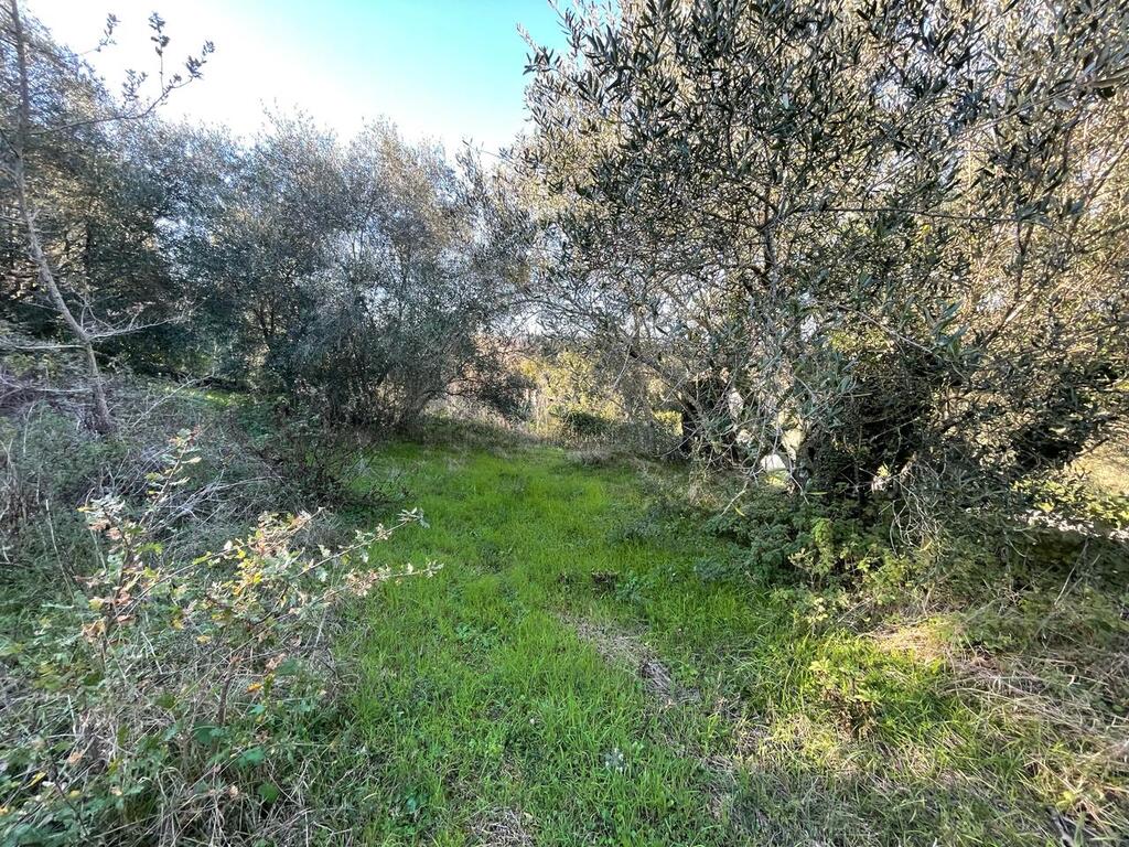 Terrain à Corfou, Grèce, 14 529 m² - image 10