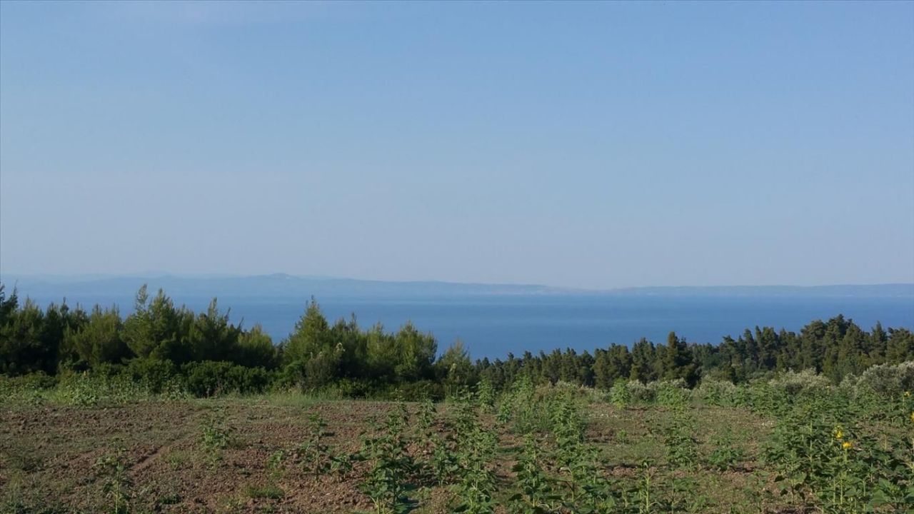 Land in Kassandra, Greece, 14 625 m² - picture 10