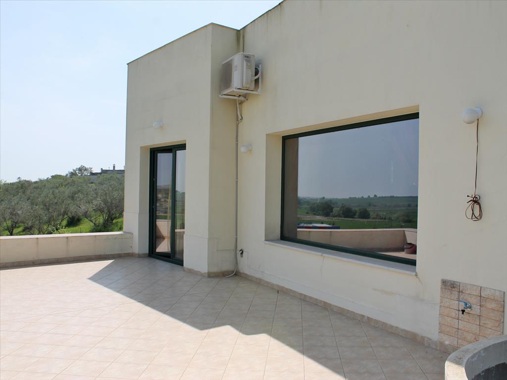 House in Olympiaki Akti, Greece, 291 m² - picture 10