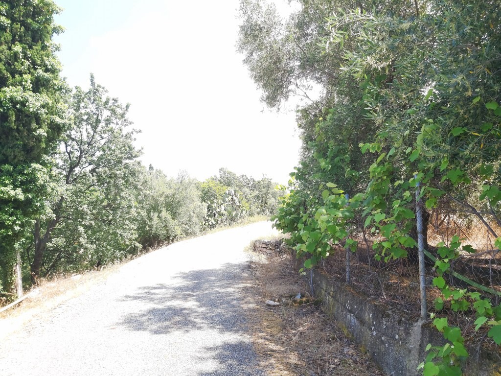 Grundstück in Korfu, Griechenland, 7 200 m² - Foto 10