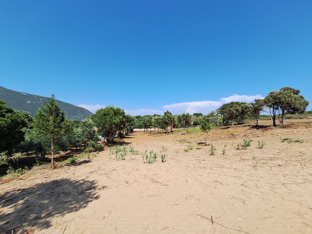 Grundstück in Korfu, Griechenland, 17 439 m² - Foto 10