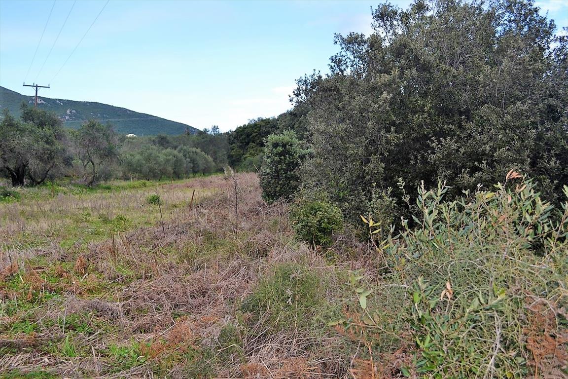 Land in Corfu, Greece, 5 500 m² - picture 10