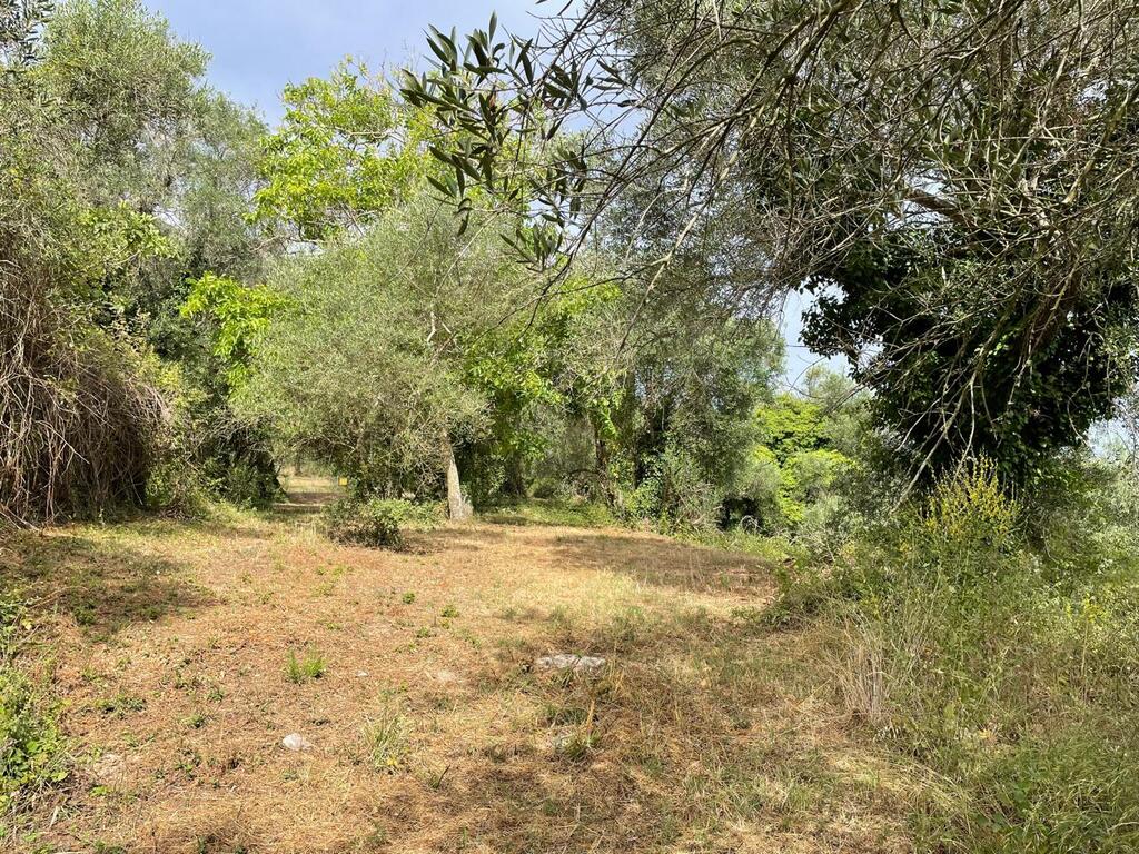 Grundstück in Korfu, Griechenland, 5 020 m² - Foto 10