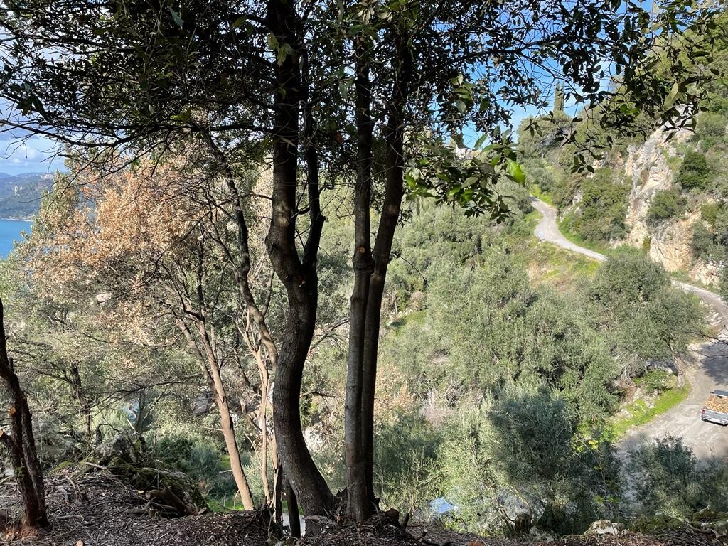 Terreno a Corfù, Grecia, 6 260 m2 - foto 10