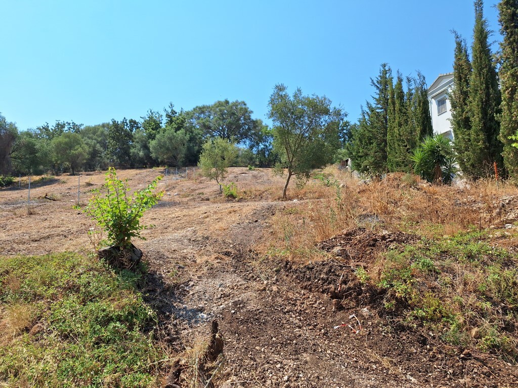 Land in Corfu, Greece, 2 776 m² - picture 10