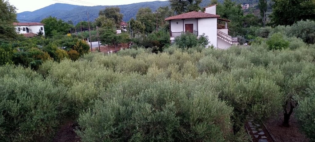 House in Sithonia, Greece, 150 m² - picture 10
