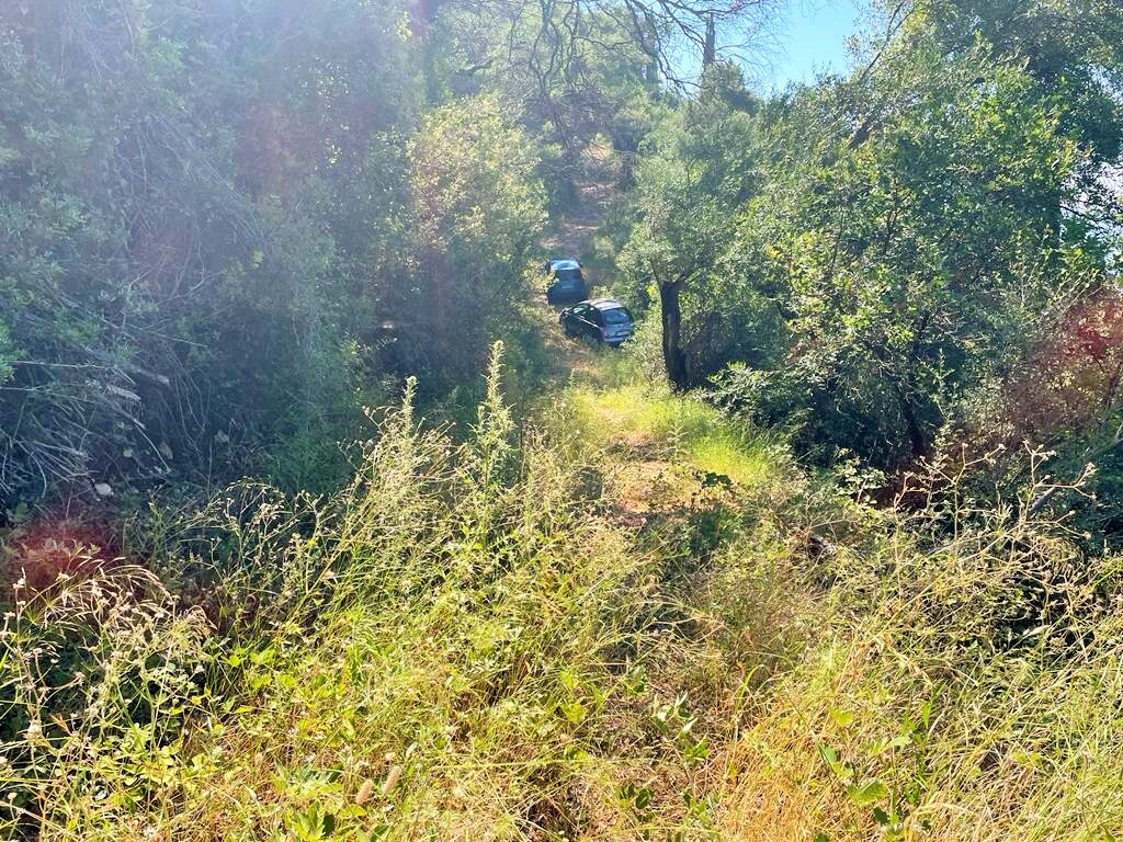 Terreno a Corfù, Grecia, 90 000 m2 - foto 10