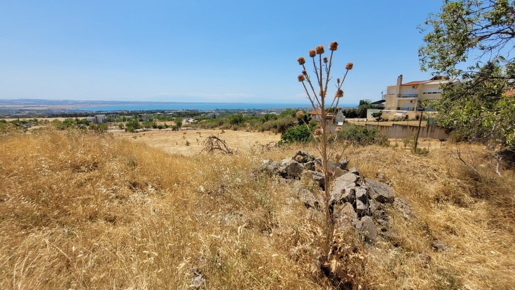 Terreno a Salonicco, Grecia, 7 000 m2 - foto 10