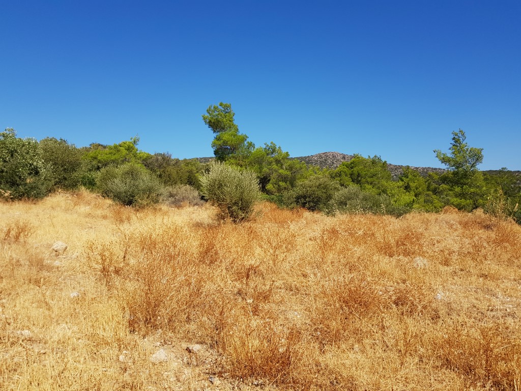 Terrain à Héraklion, Grèce, 4 166 m² - image 10