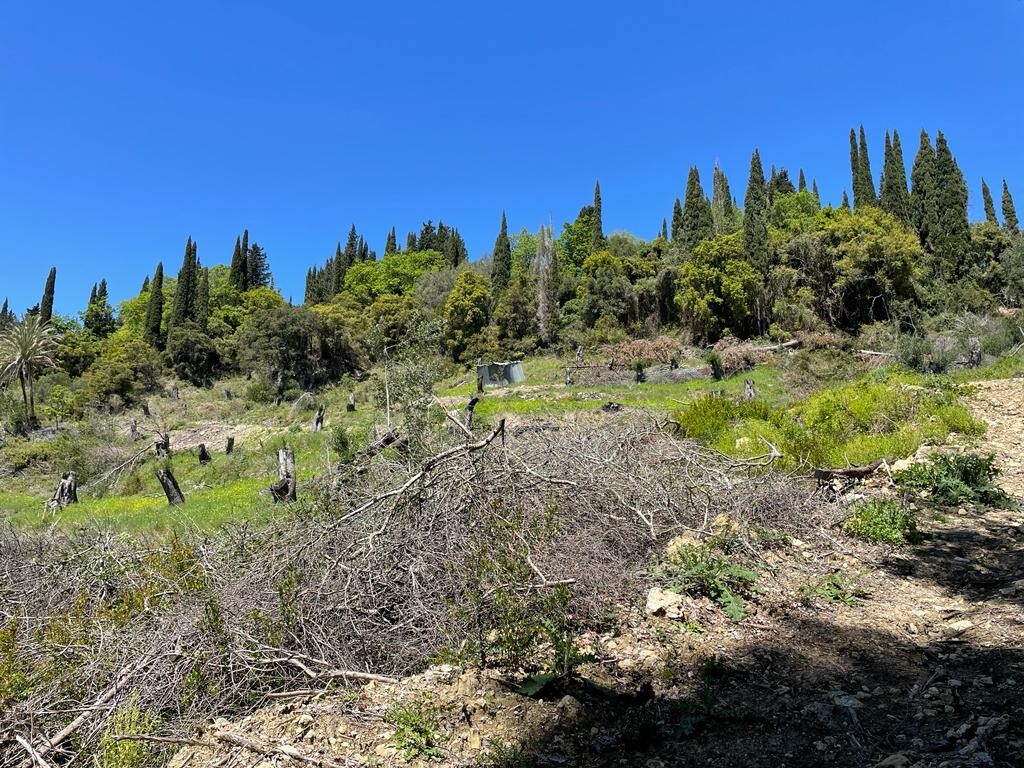 Terreno en Corfú, Grecia, 8 500 m² - imagen 10