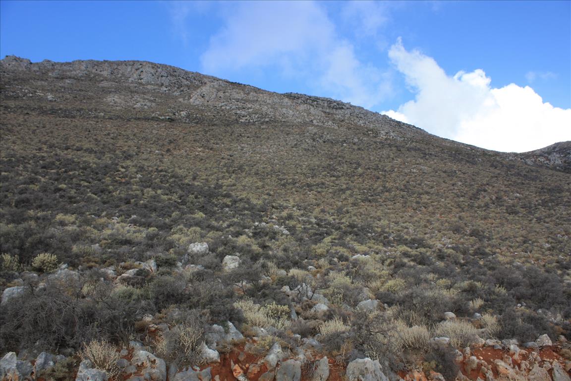 Terreno en Heraclión, Grecia, 25 000 m² - imagen 10
