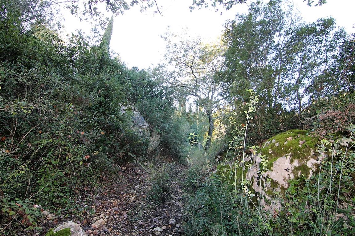 Grundstück in Korfu, Griechenland, 4 000 m² - Foto 10