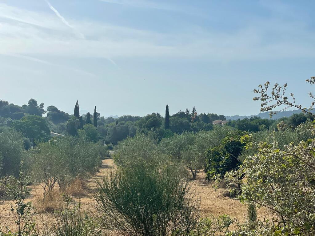 Land in Corfu, Greece, 27 750 m² - picture 10