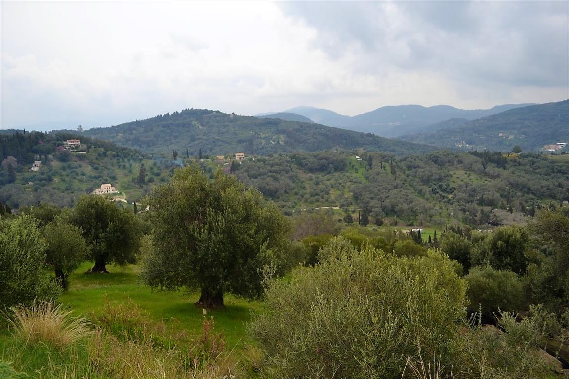 Land in Corfu, Greece, 6 000 m² - picture 10