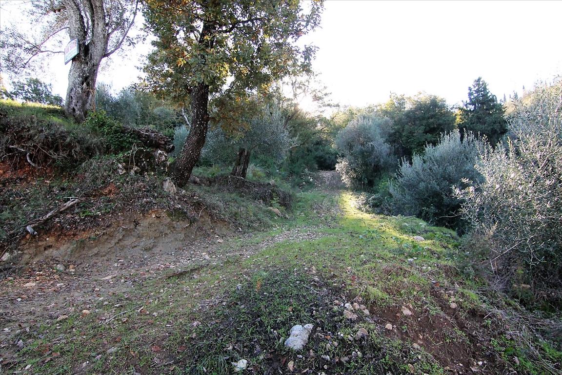 Land in Corfu, Greece, 5 000 m² - picture 10