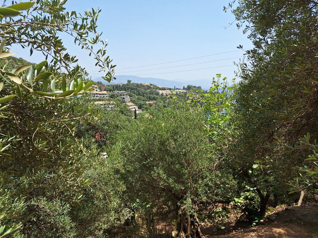 Terrain à Corfou, Grèce, 2 100 m² - image 10