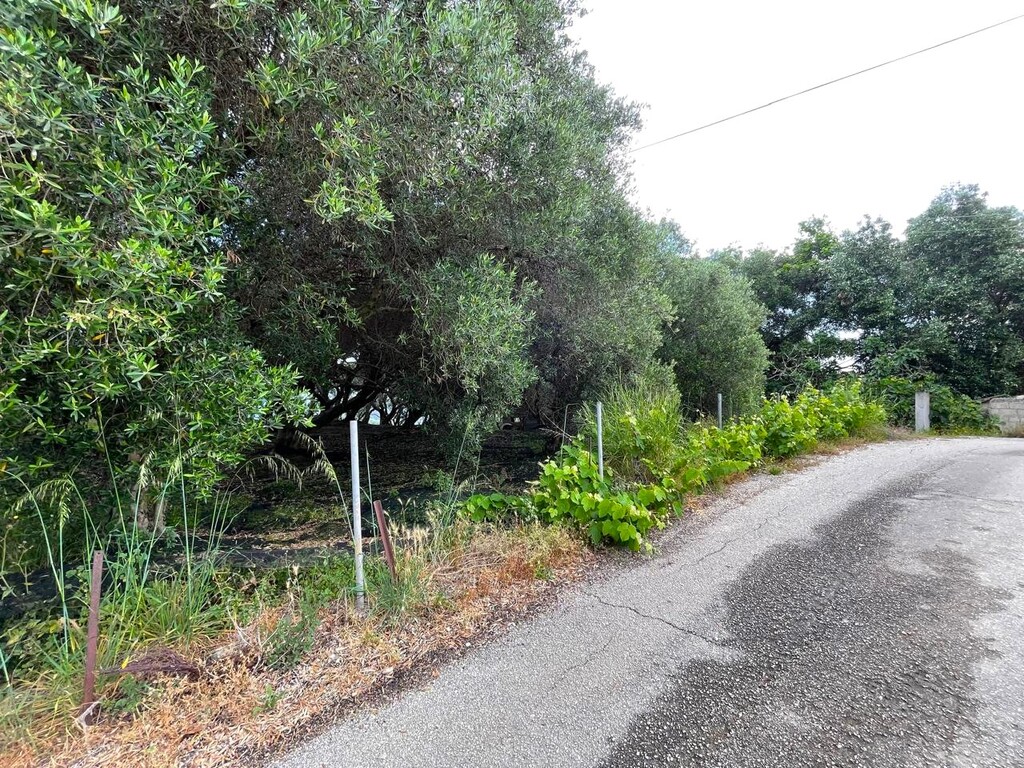 Land in Corfu, Greece, 940 m² - picture 11