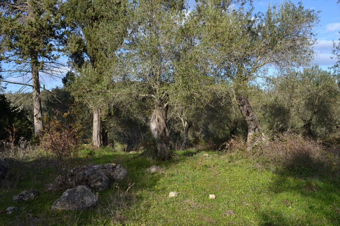 Terreno a Corfù, Grecia, 20 000 m2 - foto 11