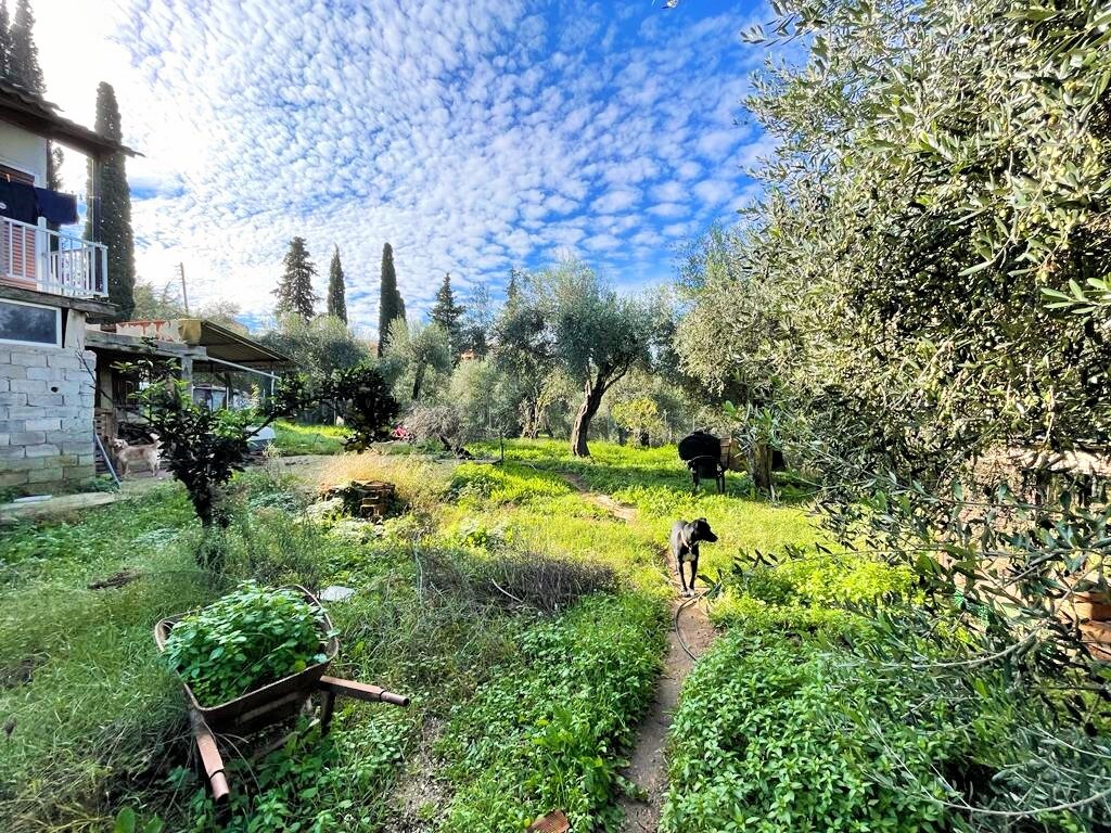 Maison à Corfou, Grèce, 190 m² - image 11