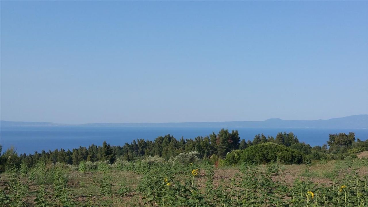 Land in Kassandra, Greece, 14 625 m² - picture 11