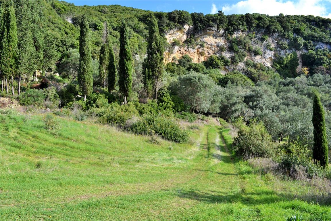 Terrain à Corfou, Grèce, 15 000 m² - image 11