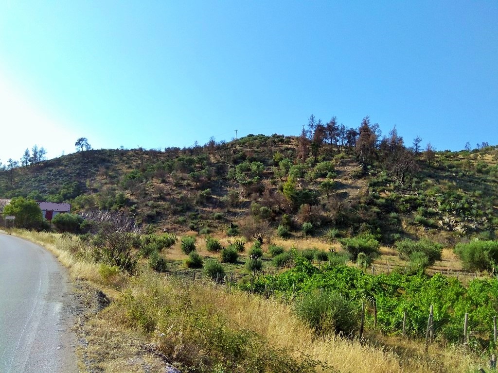 Grundstück in Sithonia, Griechenland, 3 500 m² - Foto 11