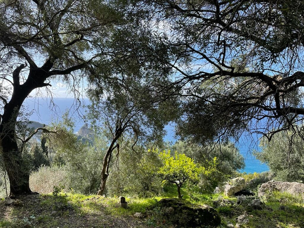 Terreno a Corfù, Grecia, 6 260 m2 - foto 11