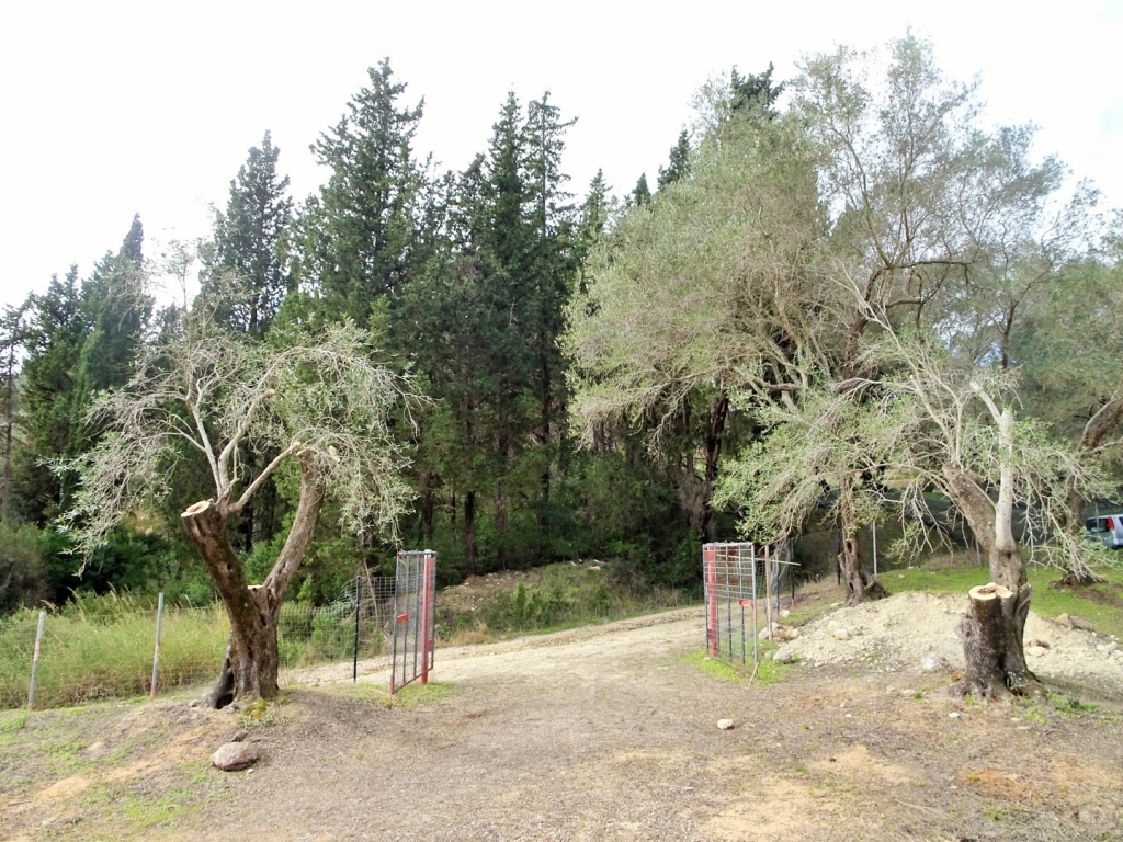 Maison à Corfou, Grèce, 240 m² - image 11