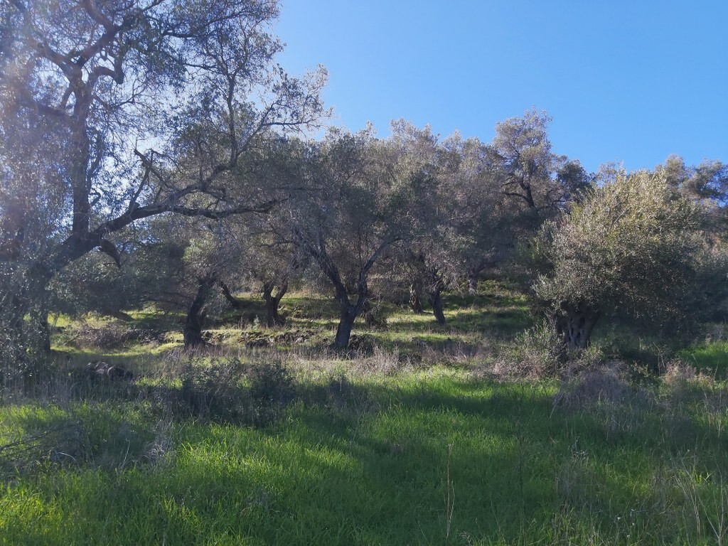 Grundstück in Korfu, Griechenland, 44 872 m² - Foto 11