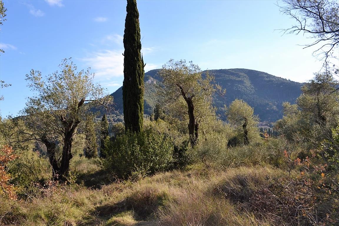 Terreno a Corfù, Grecia, 8 000 m2 - foto 11