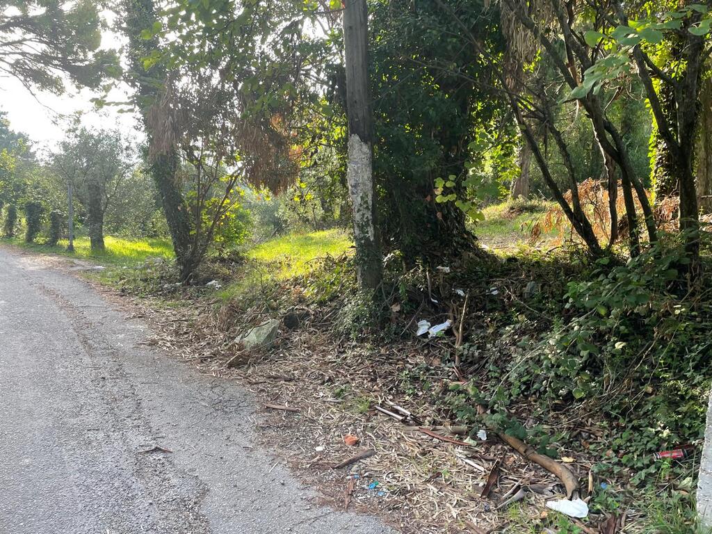 Land in Corfu, Greece, 3 321 m² - picture 11