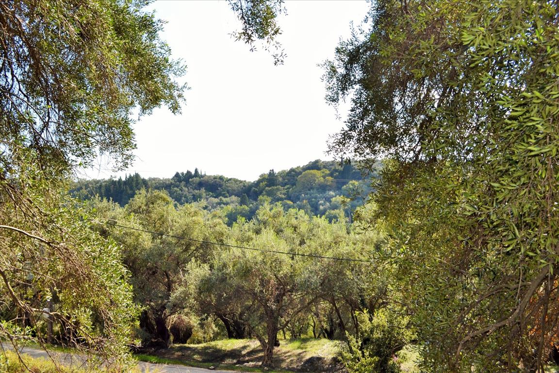 Terreno a Corfù, Grecia, 14 530 m2 - foto 11
