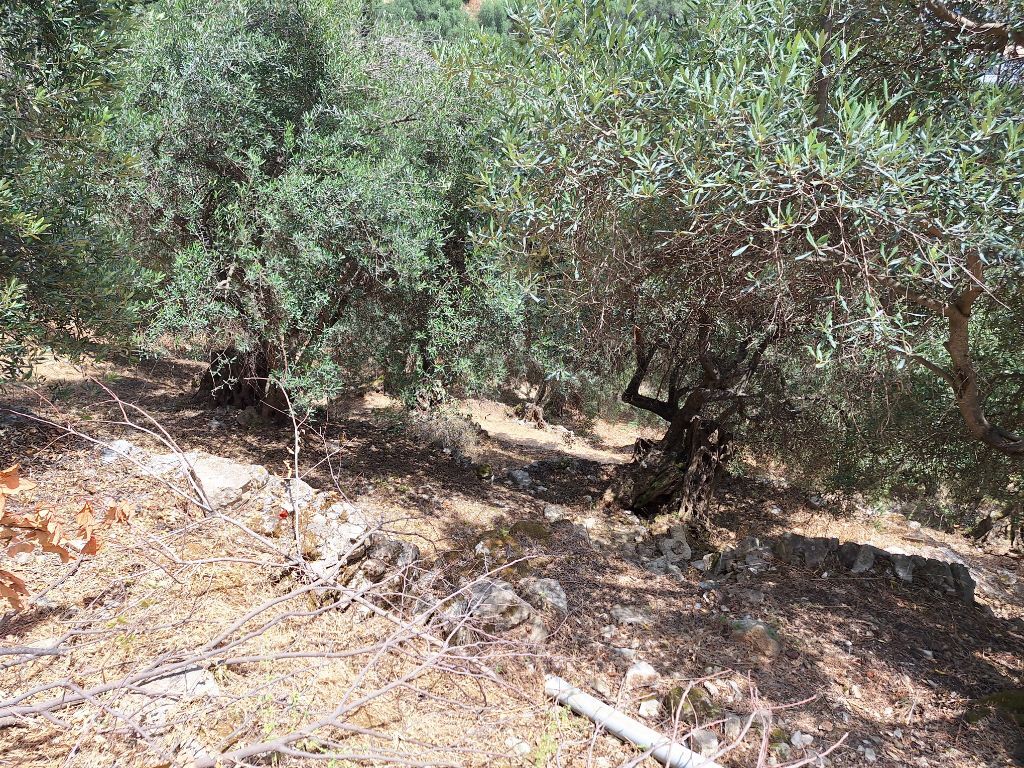 Terrain à Corfou, Grèce, 2 100 m² - image 11