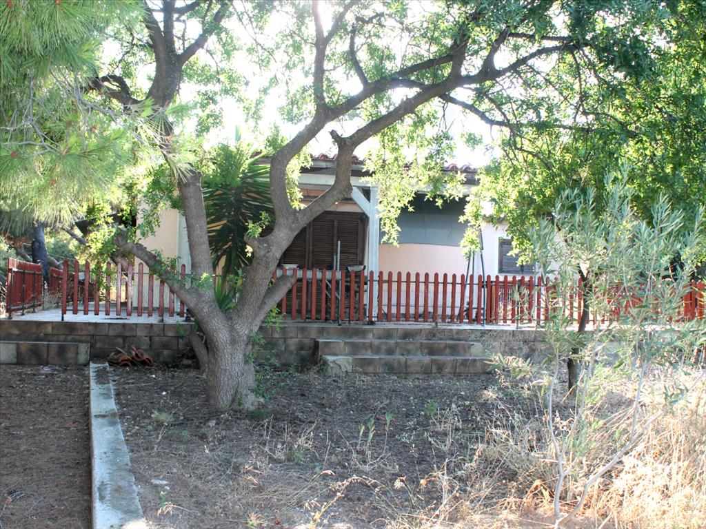 Casa en Ática, Grecia, 130 m² - imagen 11