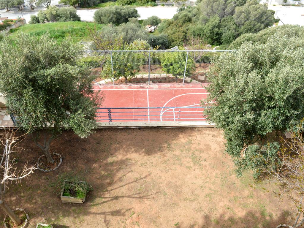 Maison en Attique, Grèce, 400 m² - image 11
