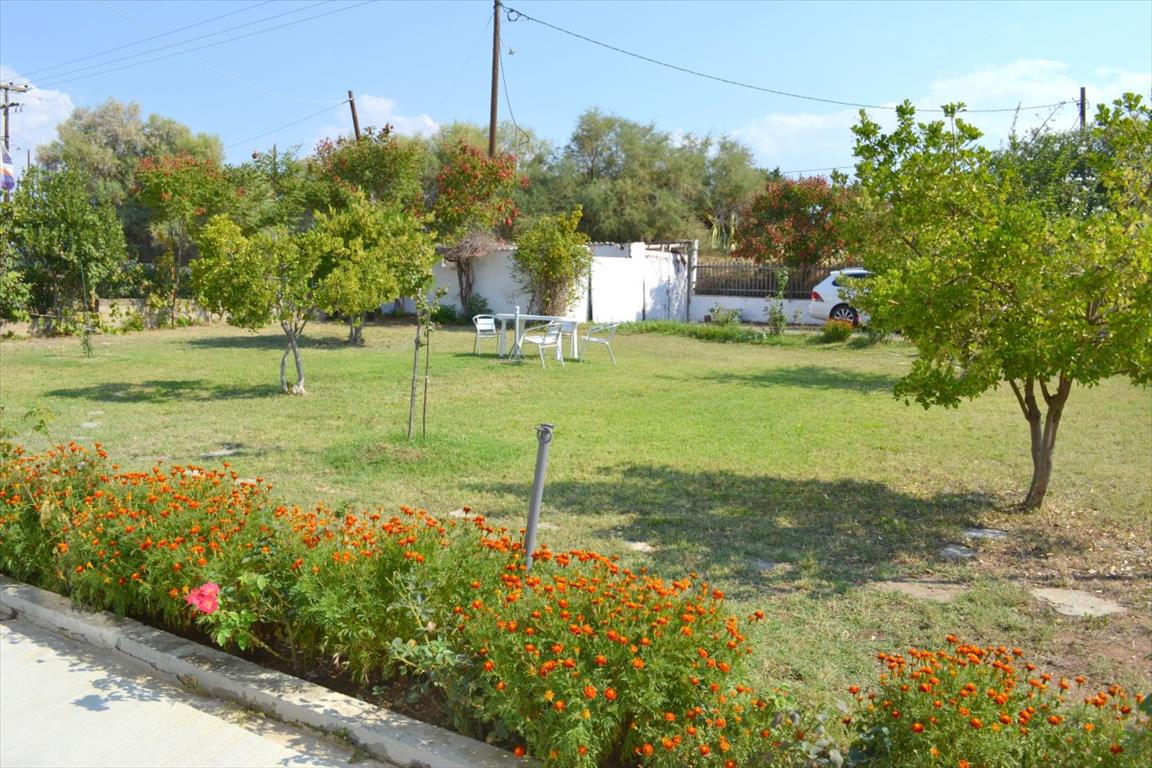 House in Kassandra, Greece, 200 m² - picture 11