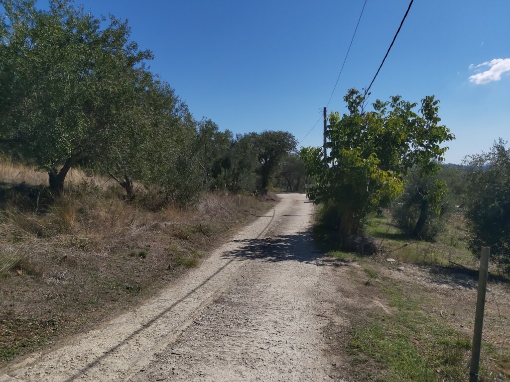 Land in Corfu, Greece, 48 000 m² - picture 11