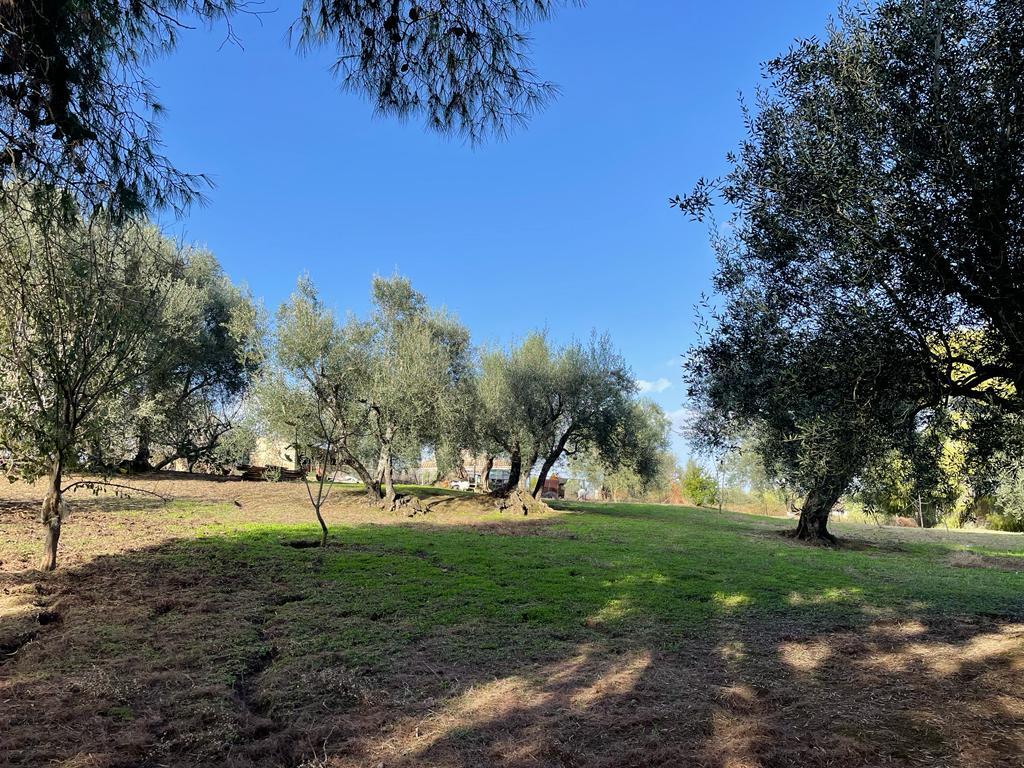 Terreno a Corfù, Grecia, 8 500 m2 - foto 11