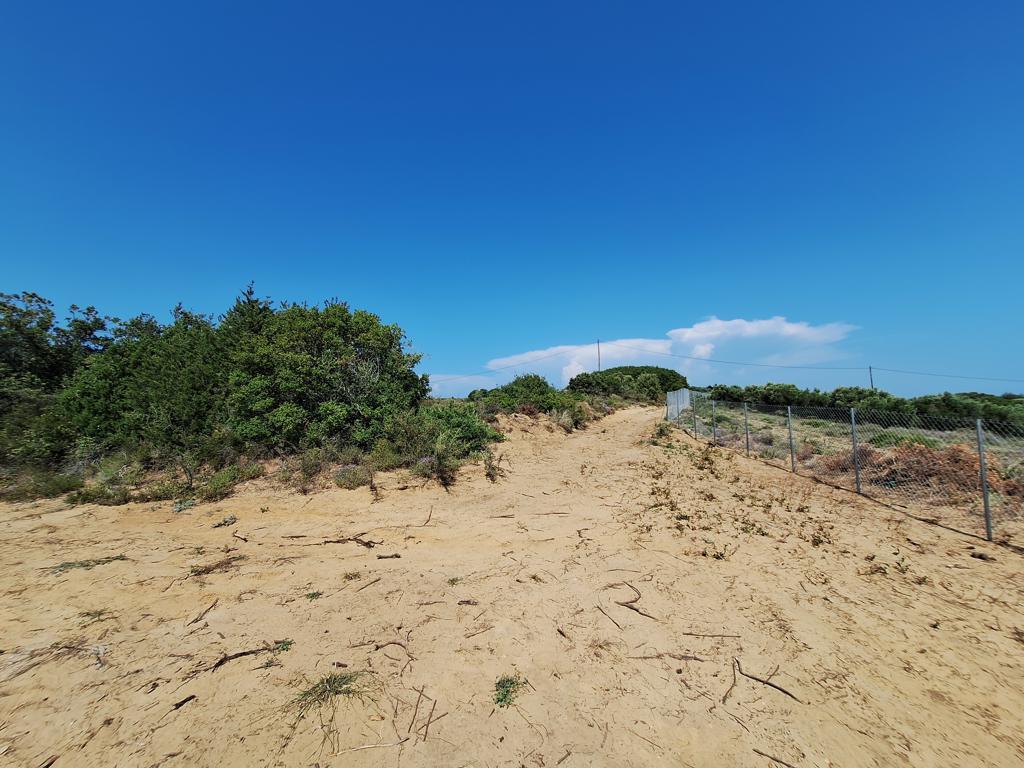 Grundstück in Korfu, Griechenland, 17 439 m² - Foto 11