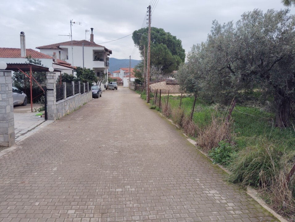 Terreno en Sitonia, Grecia, 1 305 m² - imagen 11