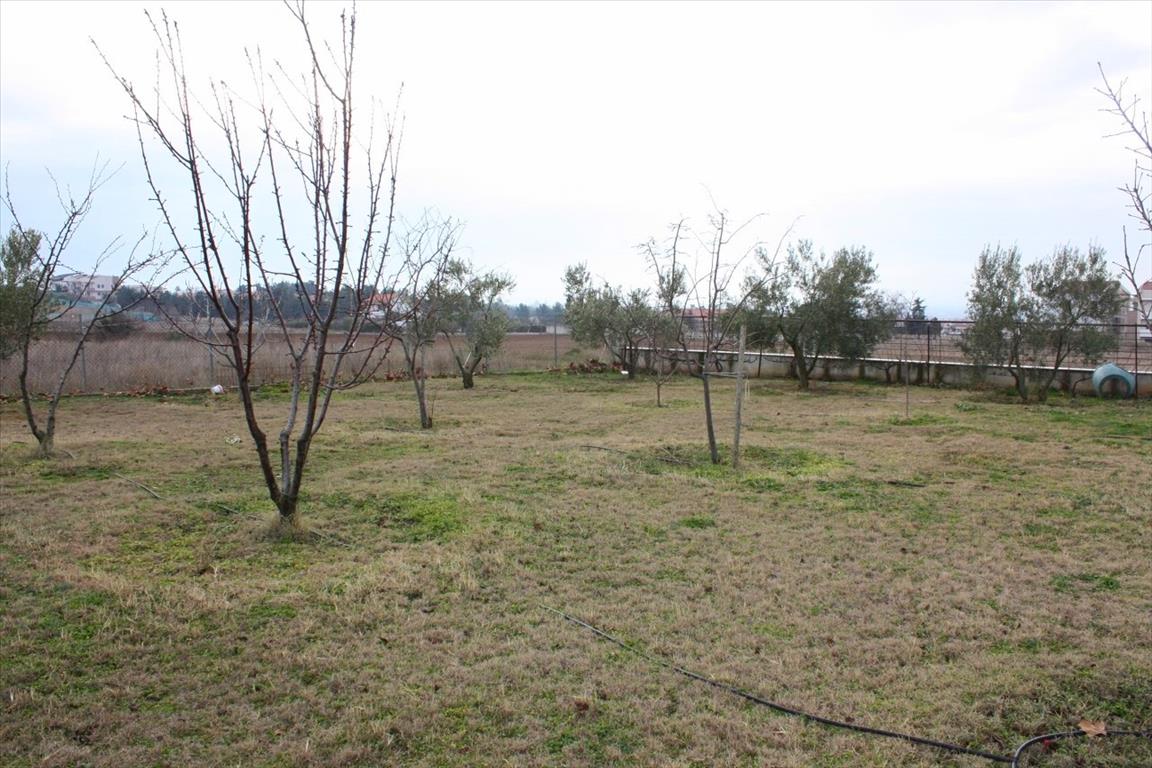 Haus in Thessaloniki, Griechenland, 270 m² - Foto 11