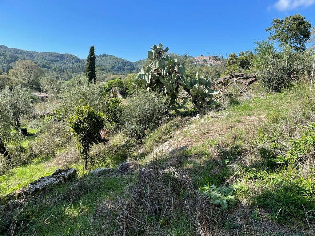 Terrain à Corfou, Grèce, 5 500 m² - image 11