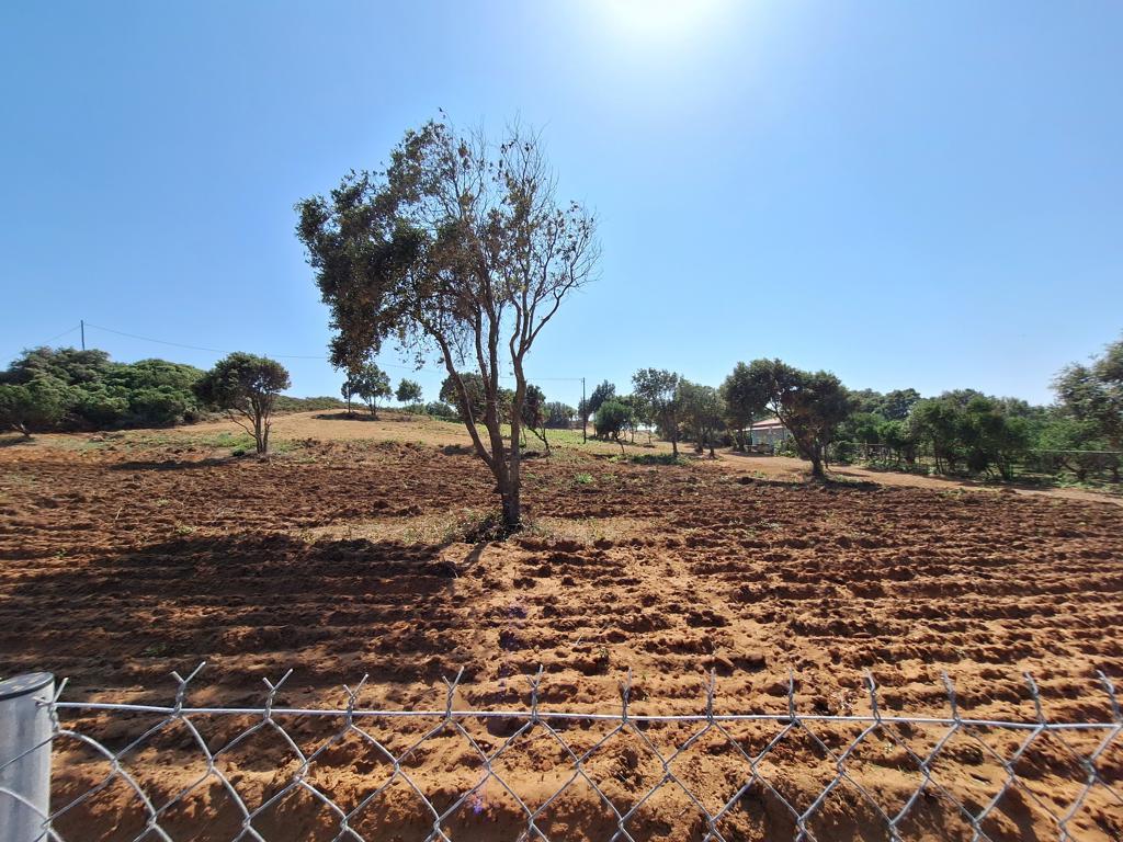 Land in Corfu, Greece, 5 064 m² - picture 11