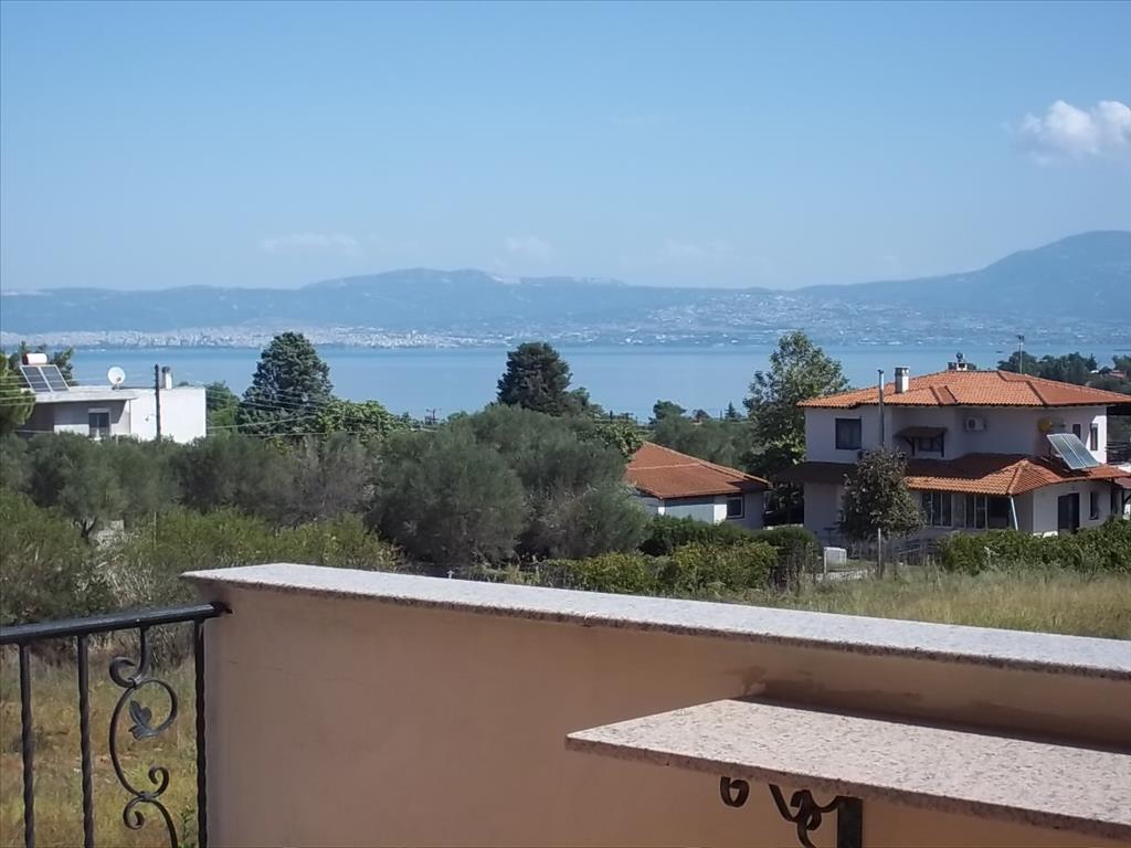 Haus in Thessaloniki, Griechenland, 350 m² - Foto 11