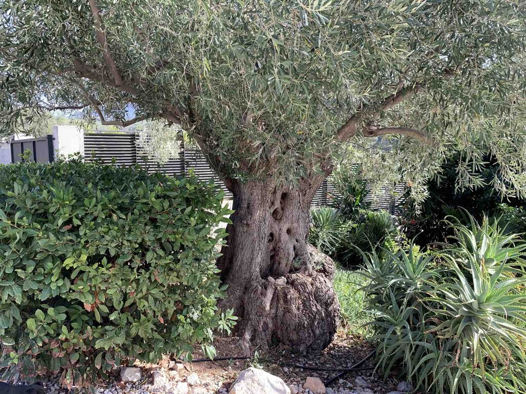 Casa a Loutraki, Grecia, 340 m² - foto 11