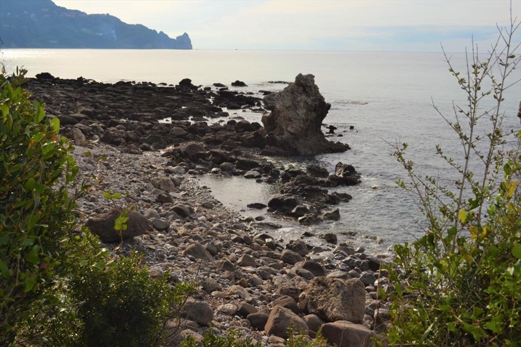 Land in Corfu, Greece, 10 959 m² - picture 11